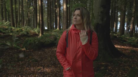 una mujer hermosa camina a través del otoño, el bosque de otoño