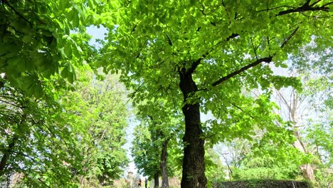 people enjoying a sunny day in milan park