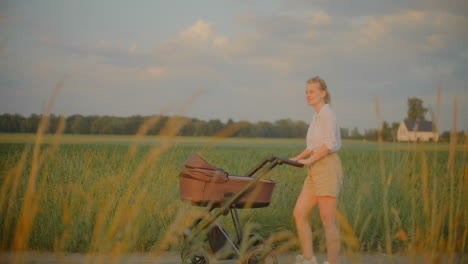 woman walking with baby stroller in scenic rural setting