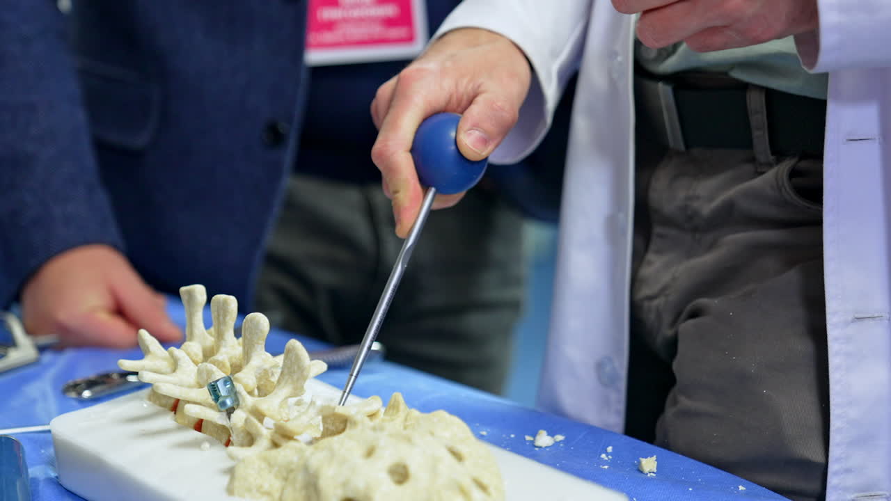 Neurosurgical instrument is input into the gap between the bones in the dummy of spine. Medical study practice. Close up.