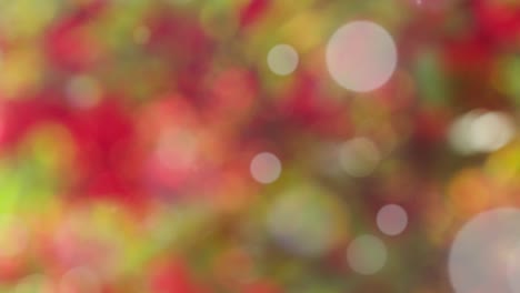 Abstract spring background with bokeh