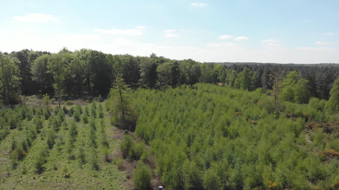 Aerial rotating drone clip over a growing trees and a forest in Thetford, England