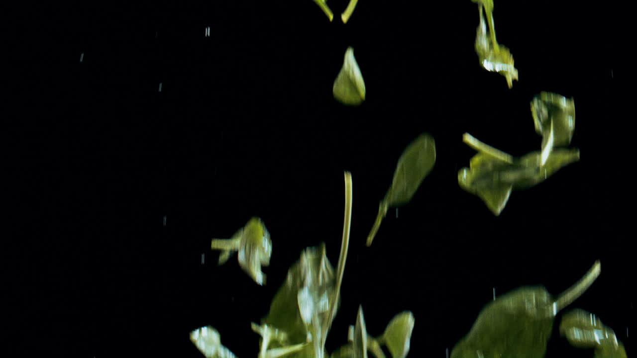 Spinach Leaves Falling on Black Background