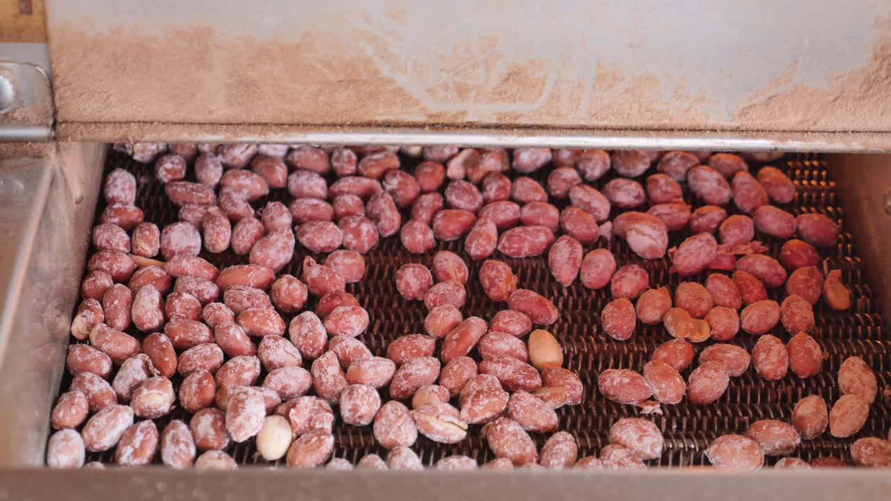 cacahuetes siendo procesados en una máquina