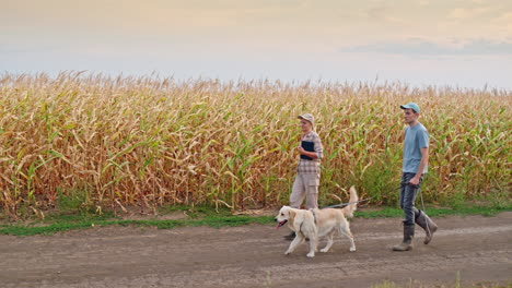 los agricultores inspeccionan el campo de maíz con el perro