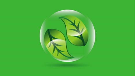 green leaves logo design in a sphere