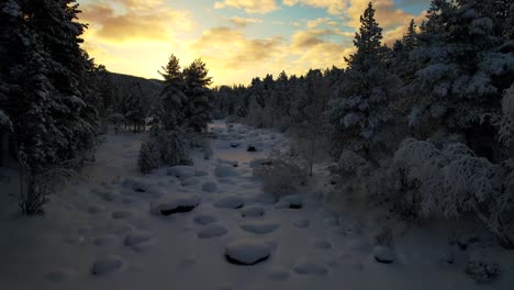 drone flies through snow covered forest creek at dusk in lapland, finland, arctic circle