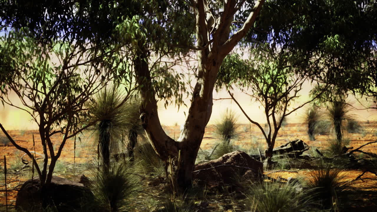 Exploring the serene landscape with trees and greenery in the countryside