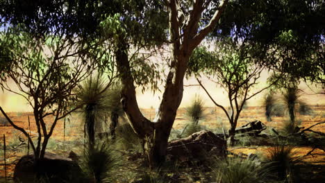 exploring the serene landscape with trees and greenery in the countryside
