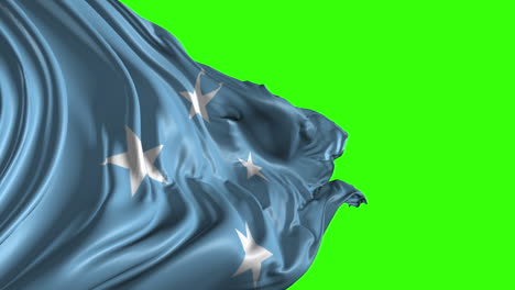 flag of micronesia