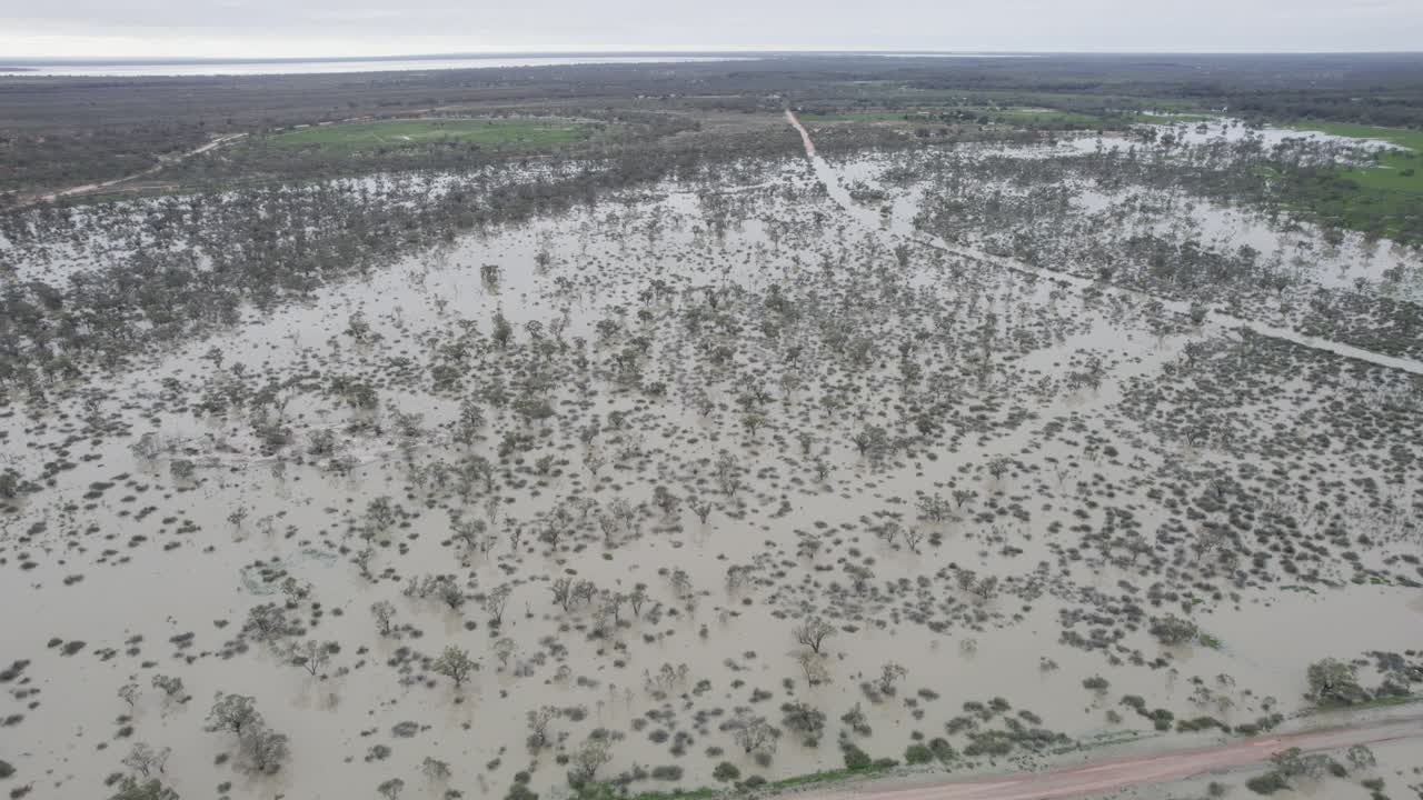 el río darling inundado cerca de meninnde en nueva gales del sur (australia)