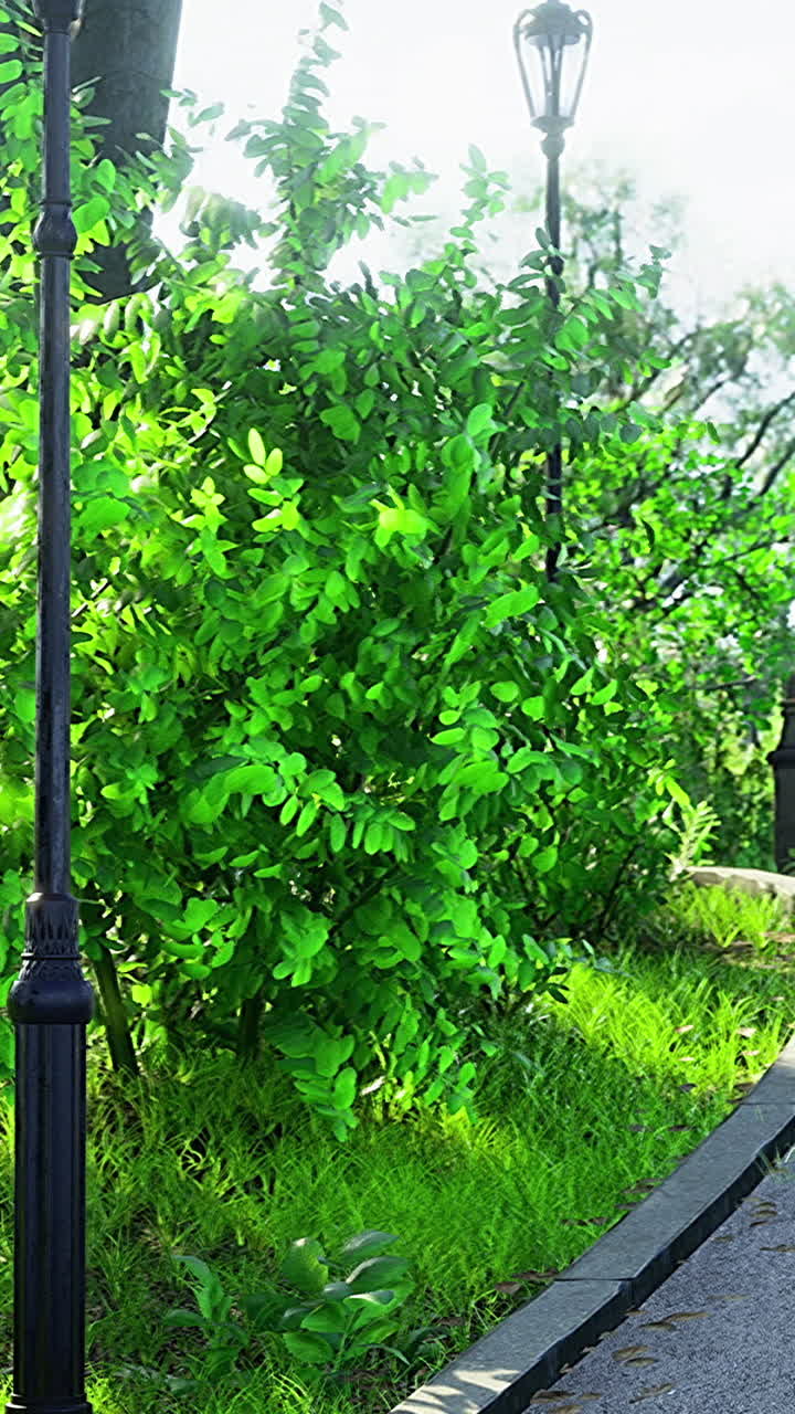 Lush greenery and winding path invite exploration in a tranquil park setting