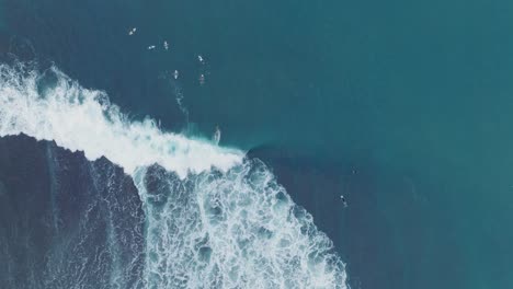 top down slow motion drone of surfers waiting for waves at low tide reef with turquoise water at bingin beach, bali, uluwatu indonesia