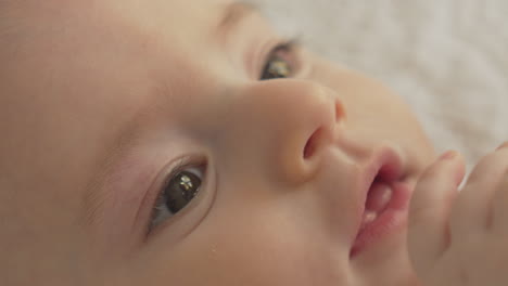 closeup big baby boy eyes, portrait of white caucasian newborn soft light