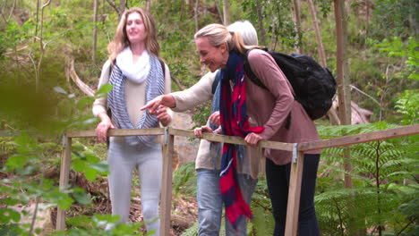 three generations of women walking to a bridge in a forest