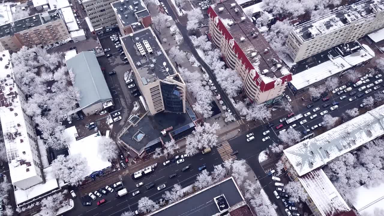 도시 의 돌집 들 사이 에 있는 눈  나무 들