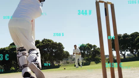 animación del procesamiento de datos digitales sobre diversos jugadores de cricket en el campo