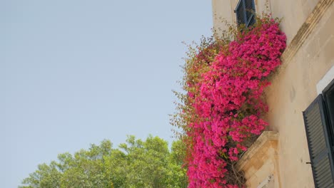 home building with exterior flowers