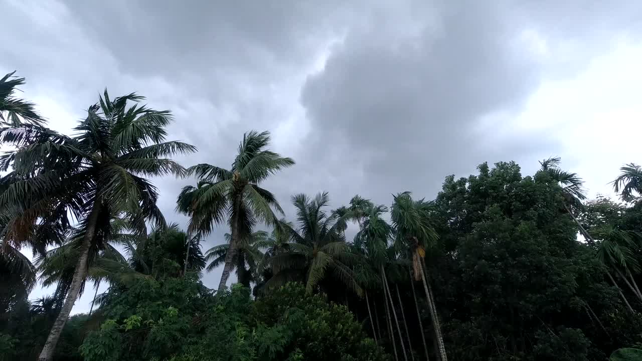 Autumn clouds are drifting across the sky