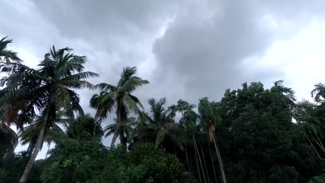 autumn clouds are drifting across the sky