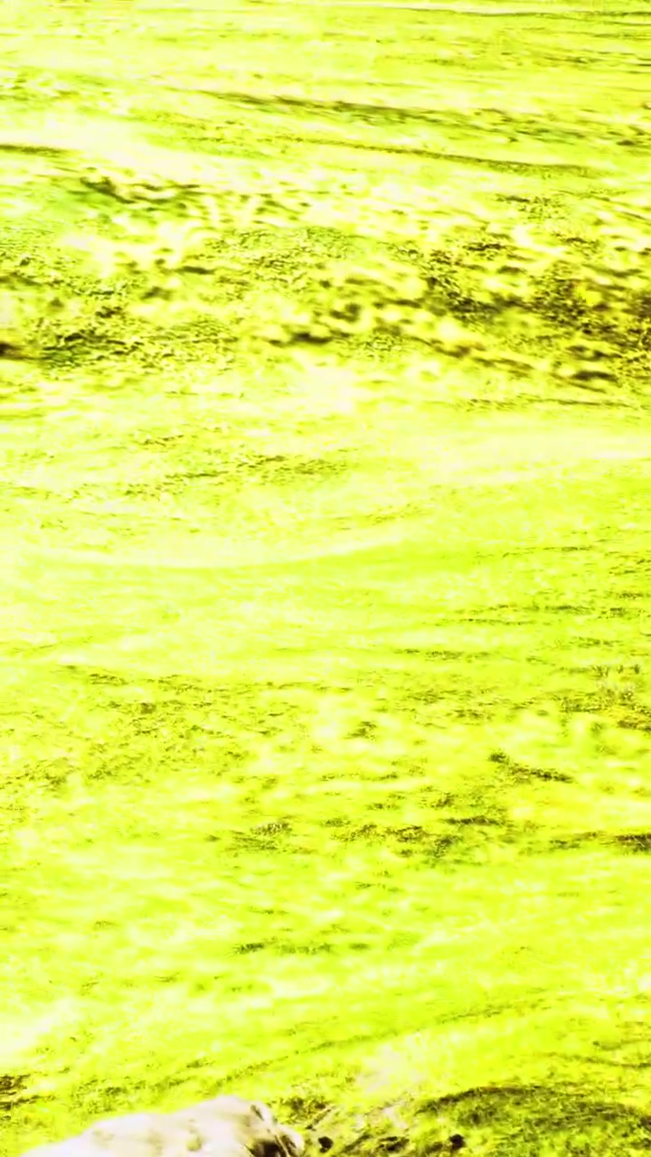 Surface verte ondulante avec des reflets et des textures naturelles sous la lumière du soleil.