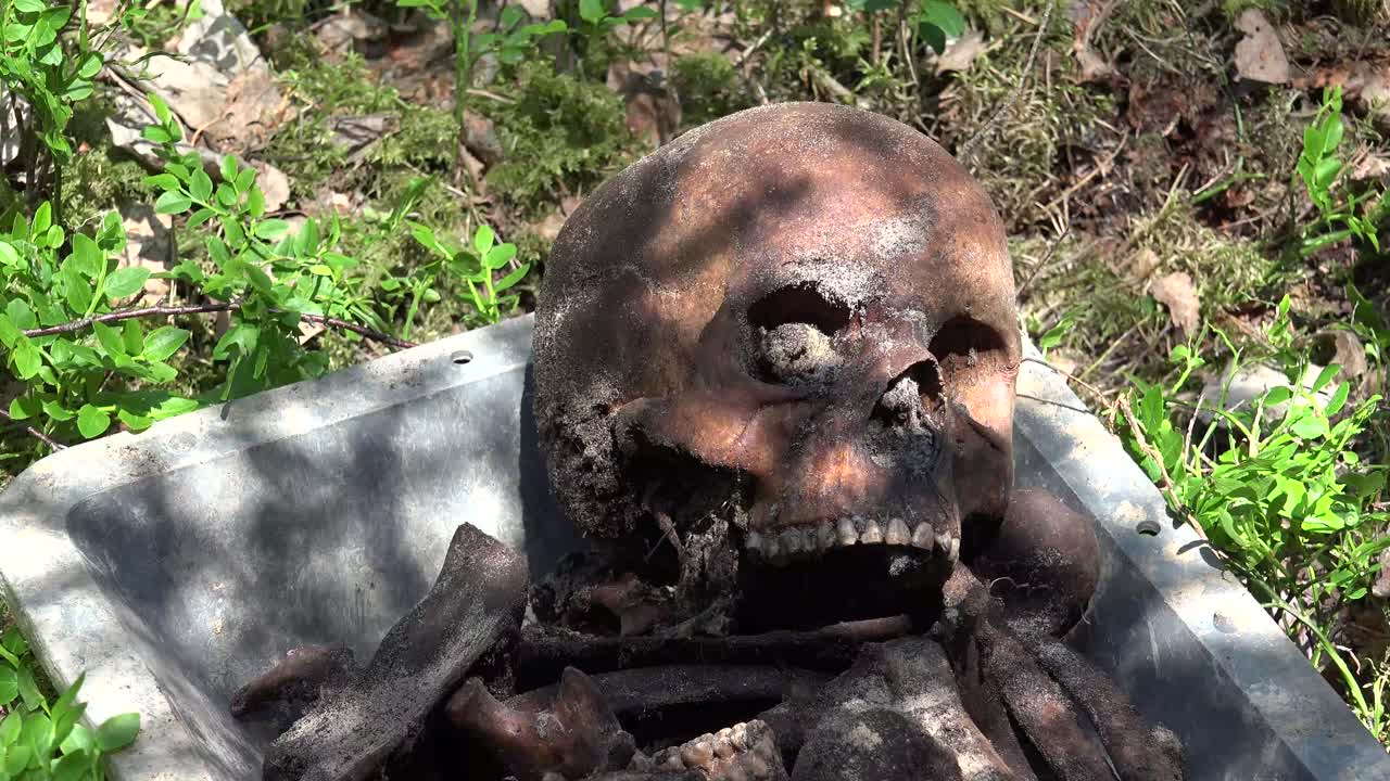 발굴은 특히 시체를 파내는 행위입니다.