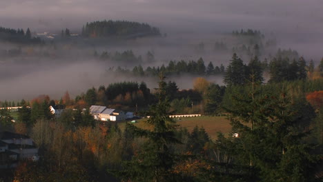 fog hangs over the wine country of oregon