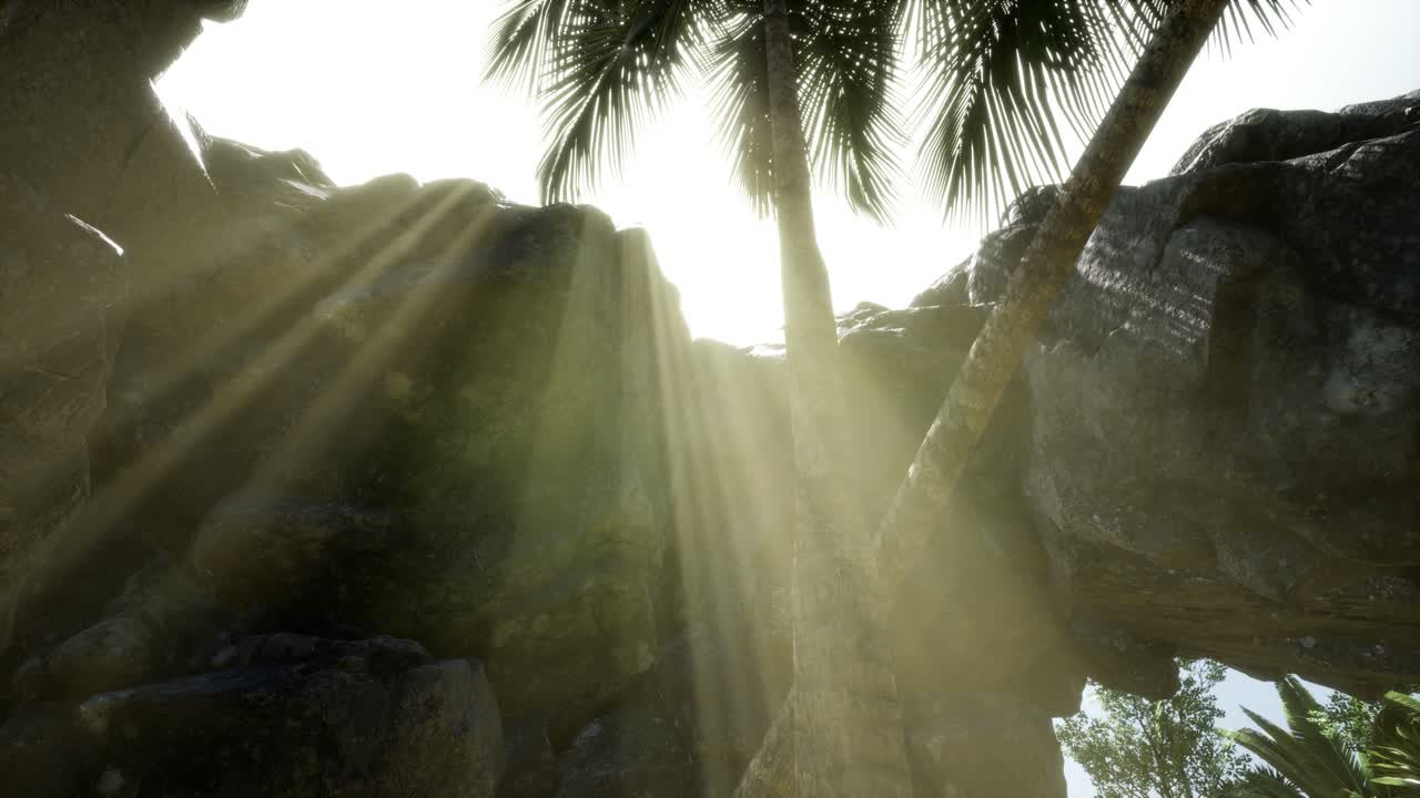 большие пальмы в каменной пещере с лучами солнечного света