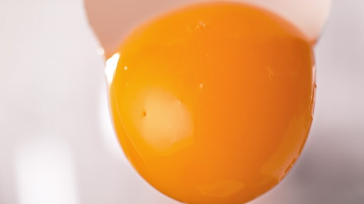 yema de huevo separada que cae de una cáscara de huewo dividida en dos en movimiento macro y lento