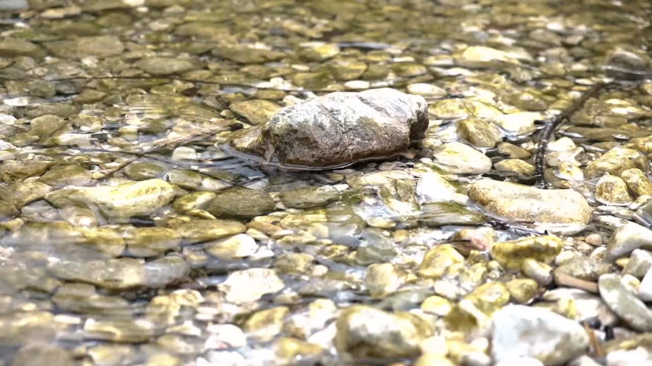 슬로베니아의 sava bohinjska 또는 bohinj 강은 bohinj 호수에서 bled 호수까지 이어집니다.