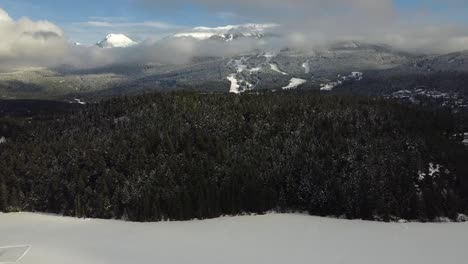 bosque de coníferas revelado aéreo en la temporada de invierno en whistler, columbia británica, canadá