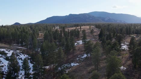 aerial drone view of the pike national forest and little scraggy mountain and green mountain. forward dolly movement with sun flare. filmed in the rocky mountains of colorado.