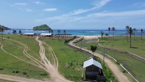 vista de avión no tripulado de un búfalo archivado en el pueblo de areguling en lombok