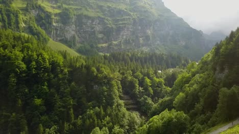 calm flight over green forest in the mountain