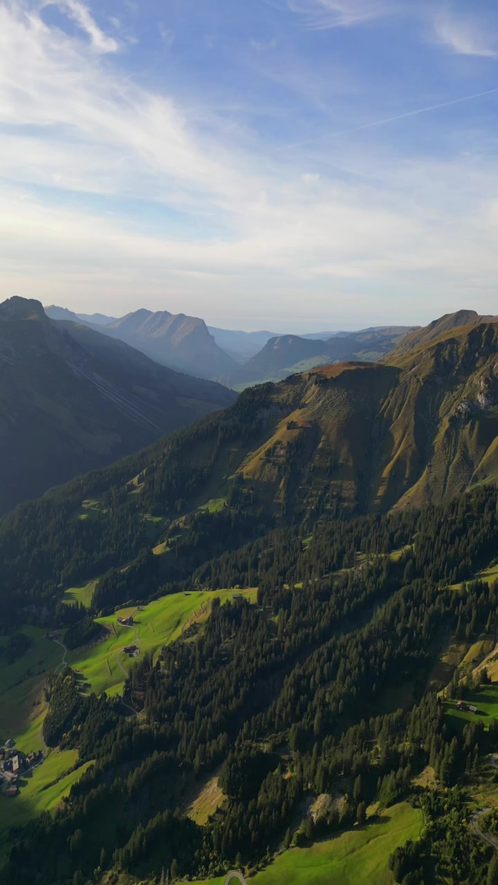 Ripida strada alpina in una valle di montagna negli altopiani delle Alpi austriache, video verticale aereo con drone Europa