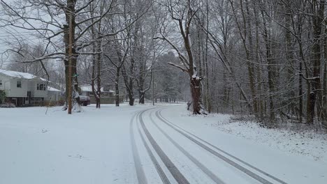 blue heeler border collie mix walking on a winter snowy road in neighborhood in a small town