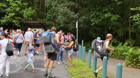 tourists disembark from a bus at mossman gorge carpark, surrounded by lush rainforest. bright daylight enhances the lively atmosphere