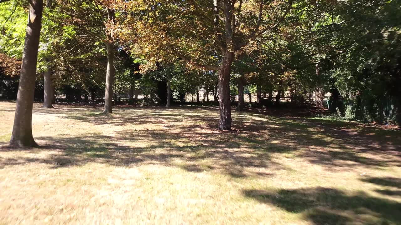Drone glides at mid-height through sunlit trees in Addington Park, capturing dappled light, green and amber foliage, and soft shadows on the dry grass, evoking a calm early autumn atmosphere