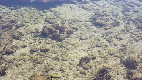 Rocas-De-Coral-Muerto-Barridas-Por-Las-Olas-En-La-Playa-De-Arena-Blanca.