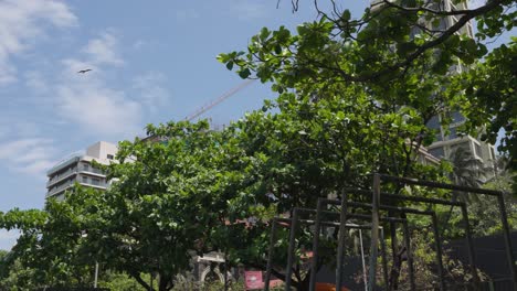 jardín con palmeras contra el cielo azul cerca del fuerte de bandra, mumbai, india