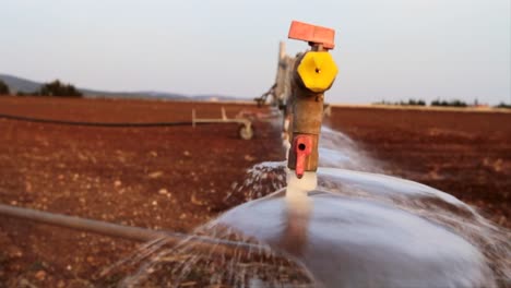 Bewässerung-Sprinkler-Wasserstrahlen