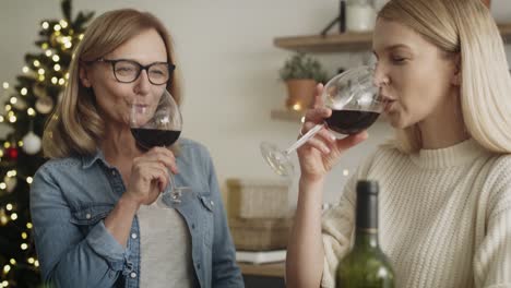 video of two women celebrate a toast during christmas