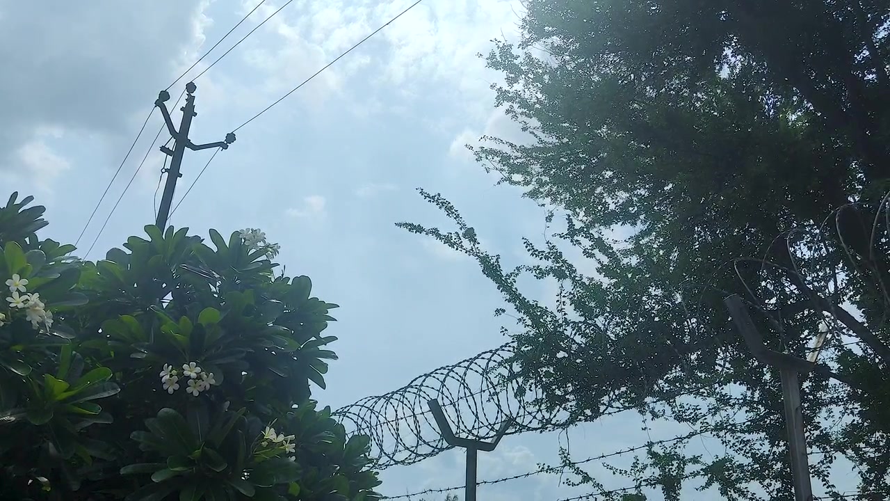 Security perimeter fence topped with razor wire near utility lines and vegetation. Ideal for border security, restricted zones, infrastructure protection, surveillance, and safety concepts.