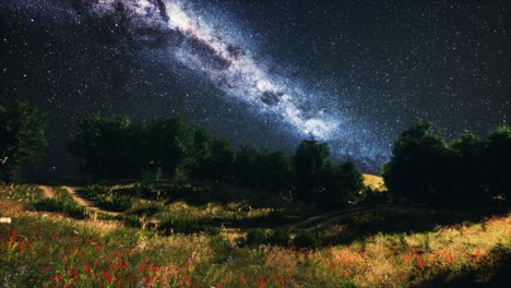 Green-Trees-Woods-In-Park-Under-Night-Starry-Sky