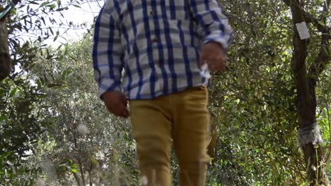 Low-angle-of-toddler-in-the-park-with-trees-running-toward-camera