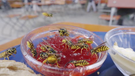Slow motion wasps flying over bowl of jam on table in summer. People in background. Macro insects in city