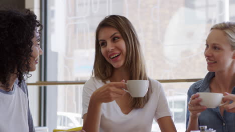 three female friends meeting for lunch in coffee shop