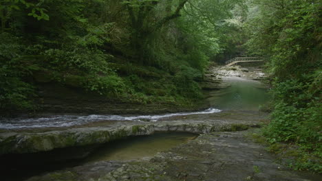 tranquilo arroyo forestal con puente