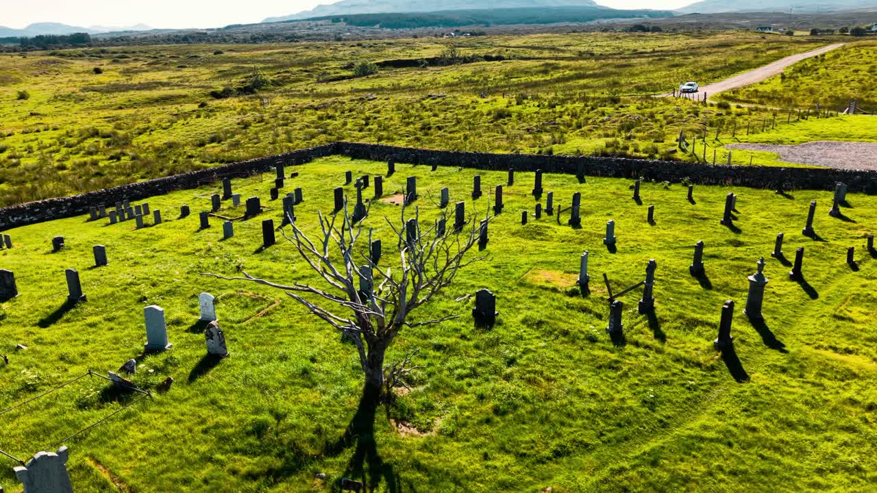 Aerial view of a cemetery with tombstones and a tree