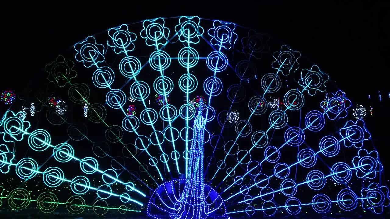 공원에서 led 조명 축제 - 공작 슬로우 모